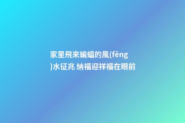 家里飛來蝙蝠的風(fēng)水征兆 納福迎祥福在眼前